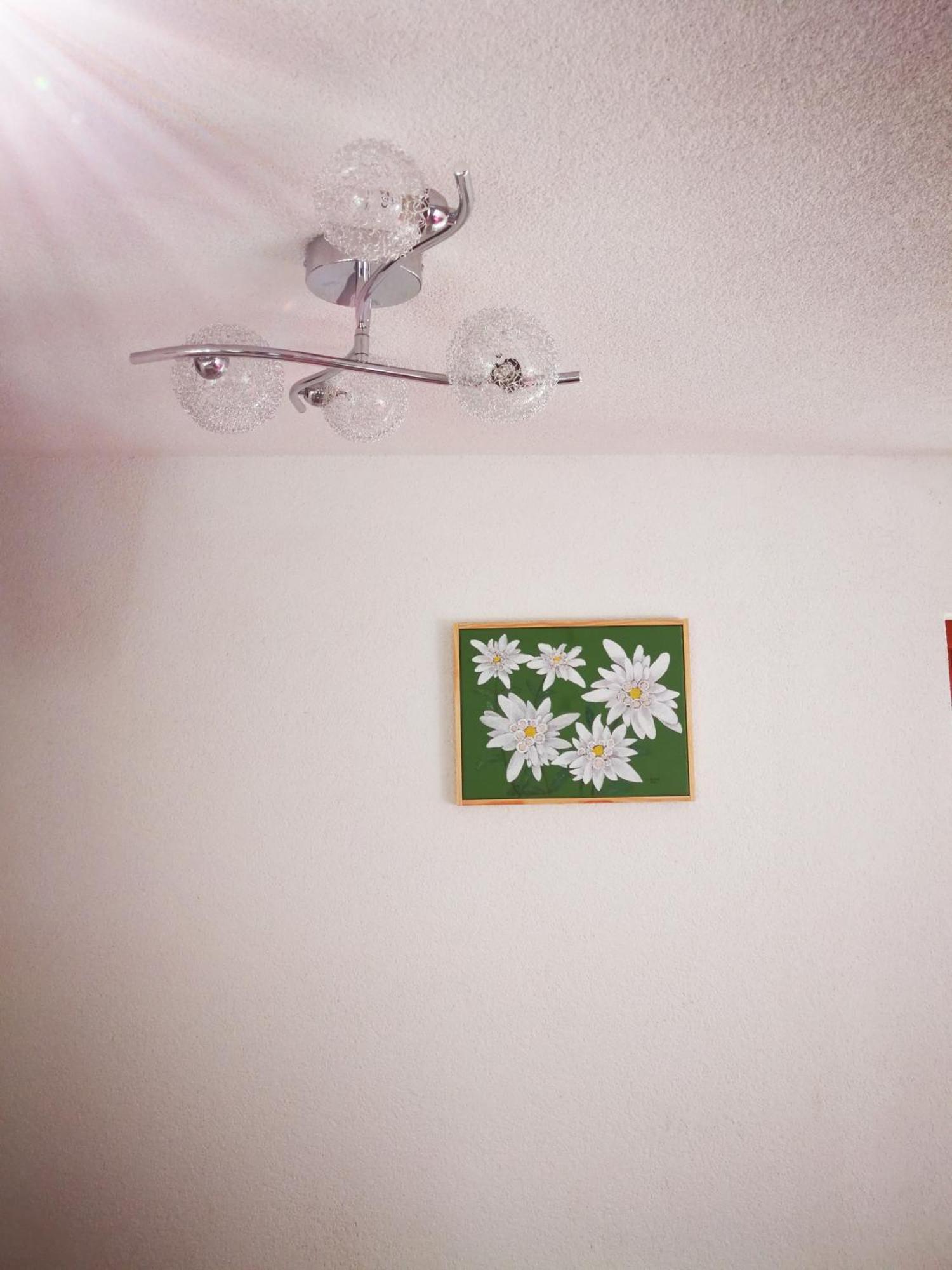 Hotel Ekoturizem Vizencar Cerklje na Gorenjskem Zewnętrze zdjęcie